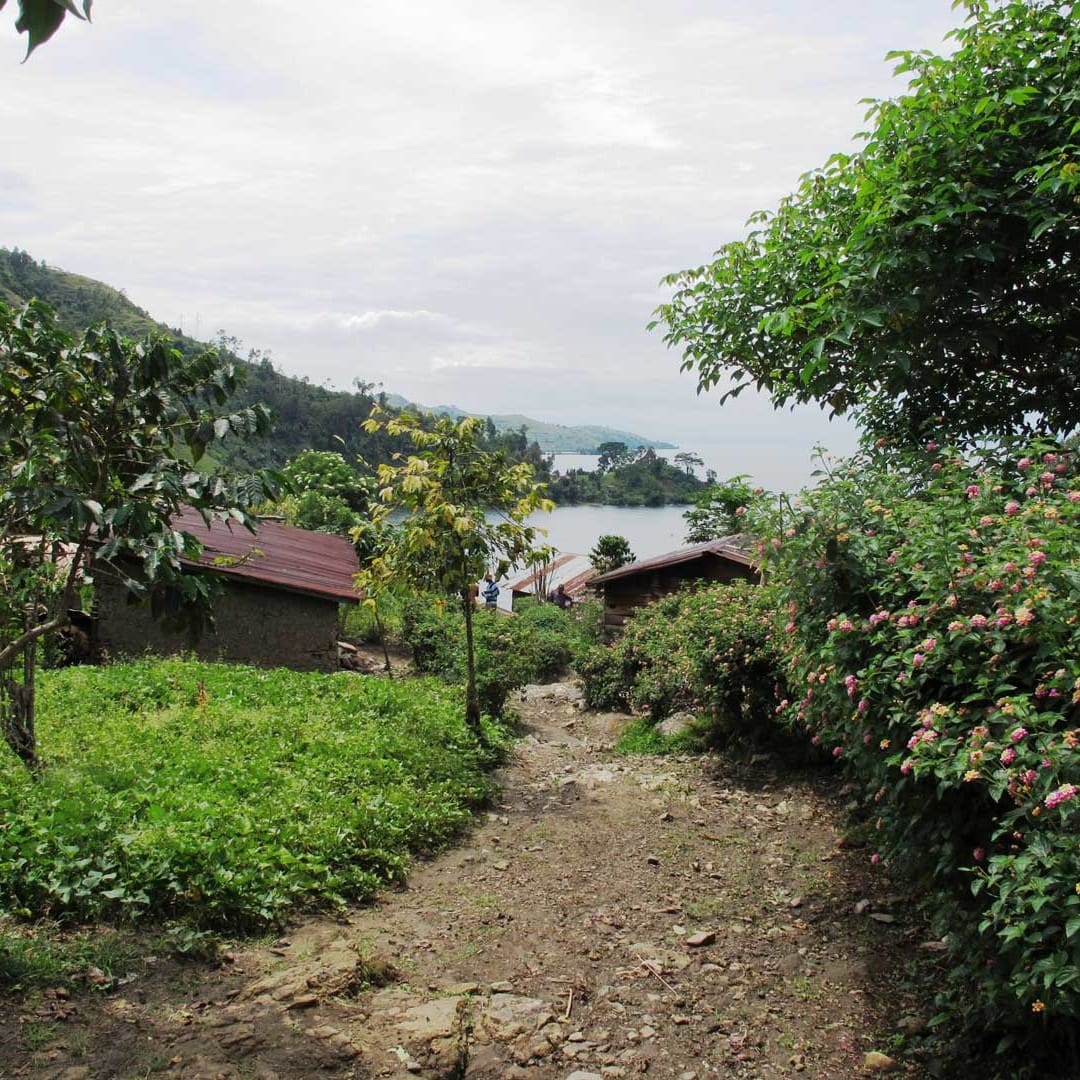 View to Lake Kivu, near Bukavu.